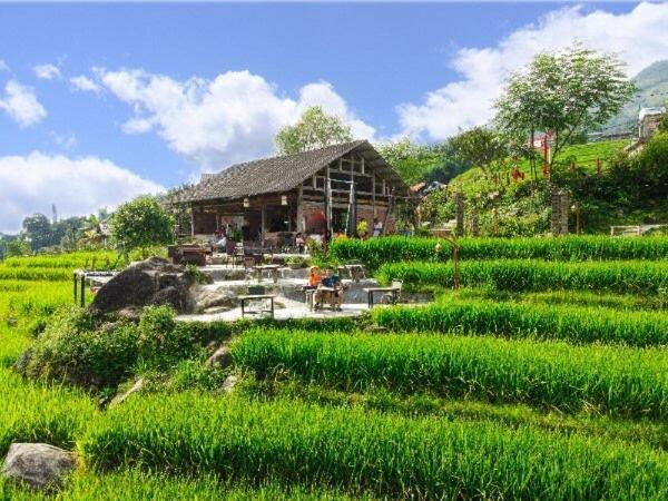 Comlam Eco House